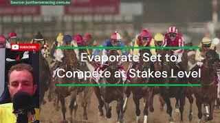 Evaporate Set to Compete at Stakes Level  Horse Racing [upl. by Obeng]