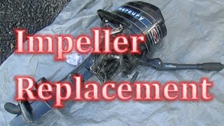 Mercury Impeller Replacement Repair the Water Pump 4 5 6 7 8 9 hp horse Power Outboard Motor [upl. by Akena305]