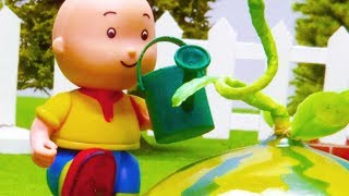 Caillou en Français  Caillou le Jardinier  dessin animé en entier  NOUVEAU 2018 [upl. by Yeknarf]