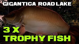 Fishing Sim World Road Lake Gigantica 3 x Trophy Fish [upl. by Allicerp]