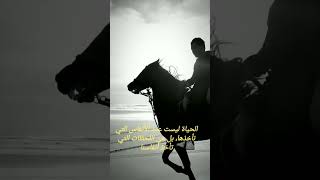 خيل اكسبلور ستوريات ترند تيكتوك [upl. by Nahsrad]