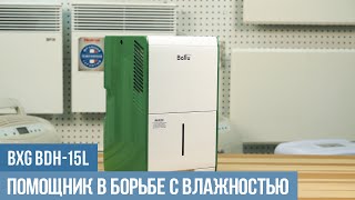 Осушитель воздуха BALLU BDH15L обзор отзывы [upl. by Kcirdot]