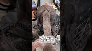 Tonos de cabello castaño ❤❤❤❤❤🎥👩‍🦱✂️ [upl. by Parry]