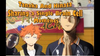 Haikyuu Hinata Shoyo and Tanaka Ryuunosuke Funny Moments  Hinata as Tanakas Disciple [upl. by Htebesile]