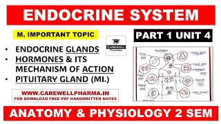 Unit 4 Endocrine System  Pituitary Gland  Hormone  Mechanism of Hormone Action  Part 1  Hap 2 [upl. by Aisereht]