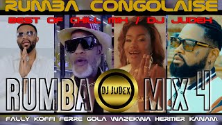 RUMBA BEST OF 20232024  DJ JUDEX ft FallyIpupa  KoffiOlomide  FerreNgola HéritierFabregas [upl. by Ahsehat]