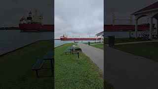 Great Lakes ship FEDERAL CHURCHILL in Marine City [upl. by Niko573]