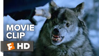 Bande annonce VF Daughter of the Wolf 2019 [upl. by Orhtej]