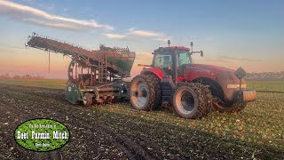 Sugar Beet Harvest 22 The Battle Begins [upl. by Carree]