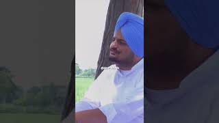 RECORD BOLDE JATT DE 💪 sidhumoosewala shorts [upl. by Ilajna303]