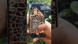 Creative Smartphone Photography with Macro Lens ytshorts youtubeshorts photography viralvideo [upl. by Naitsirt]