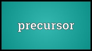 Precursor Meaning [upl. by Sibbie]