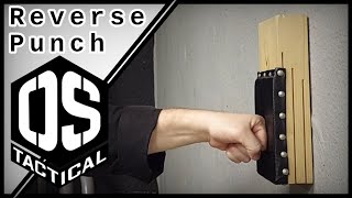 Karate Baiscs Standard Punch Tutorial [upl. by Lalage176]