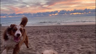 SCHEVENINGEN STRAND AVOND ZON LIVE [upl. by Accissej]