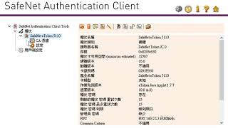 SafeNet Authentication Client Tools [upl. by Faunie]