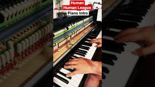 Human  The Human League  Piano Intro Shorts [upl. by Asiral]