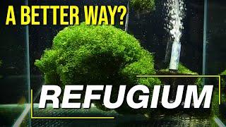 Today’s Refugium Techniques 10 Questions to Guarantee a Controllable Clean High Performance Fuge [upl. by Ailaht]