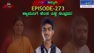 Mayamruga Episode 273 T N Seetharam  P Sheshadhri  Nagendhra Sha [upl. by Ynahirb]