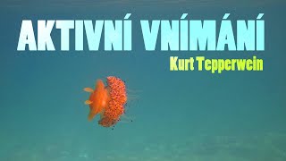 Aktivní vnímání ♡ Kurt Tepperwein⭐️ [upl. by Noffihc]