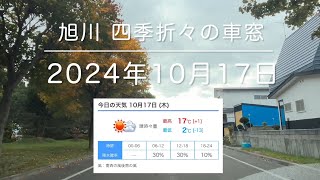 2024年10月17日 旭川市 四季折々の車窓 asahikawa Hokkaido Japan [upl. by Silenay]