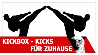 Kickboxen Fusstechniken als Übungen für Zuhause  Kickbox Team Steinen [upl. by Carr]