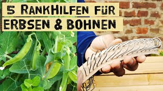 Rankgitter für Erbsen und Bohnen 5 Ideen zum selber bauen  Tonkinklammern bis Estrichmatte [upl. by Gavrilla]