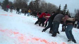 AWG 2010 Pole Push Alaska vs Greenland [upl. by Yolanda998]