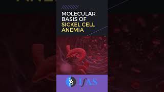 🩸⚔️ ❤️‍🩹 The Battle of Sickle Cell Anemia An Animated Insight 🩸 medicine Neet net biology [upl. by Cheke809]