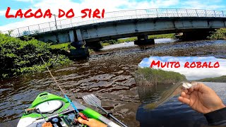 MUITO PEIXE na lagoa do siri em Marataízes pescaria de caiaque [upl. by Lamori]