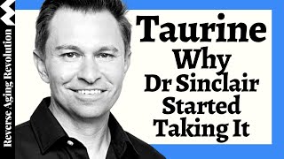 WHY Dr David Sinclair Added TAURINE To His Regimen amp His Dosage [upl. by Airdnat]