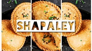 Shapaley  Shapaley Song [upl. by Shriner]