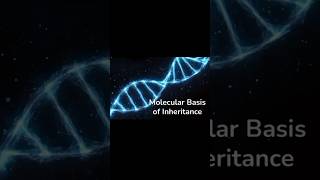 Molecular Basis of Inheritance  class 12  part  1 class12 12thbiology [upl. by Mell]