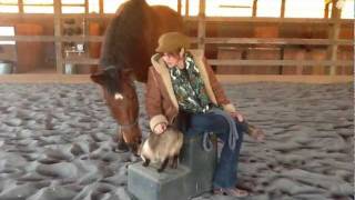 The EquineAssisted EMDR Protocol An Introduction To EquiLateral [upl. by Ecneralc]