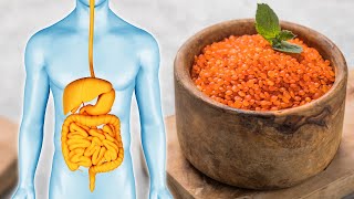 Are Red Lentils Good for You 7 Reasons To Eat More of Them [upl. by Grekin]