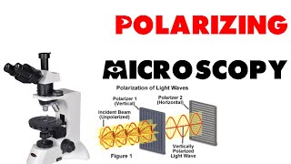 Polarizing microscopy [upl. by Eiramanit]