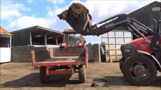 cleaning out the cattle shedPart 1 [upl. by Cyndia]