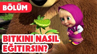 Maşa İle Koca Ayı 🪴 Bitkini nasıl eğitirsin 😋 Bölüm 99 Yeni bölüm 2024💥🎬 [upl. by Ellehcsor456]