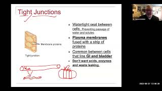 Epithelial Tissue Cell Junctions Intestinal Permeability [upl. by Alyar404]