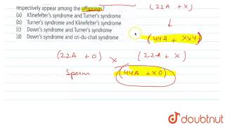 Due to nondisjunction of chromosomes during spermatogensis some sperms carry [upl. by Katushka953]