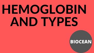 hemoglobin and its types simplifiedfunctions of hemoglobin [upl. by Peyter800]