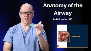 Anatomy of the Airway  Mastering the Emergency Airway Course [upl. by Osnofla]