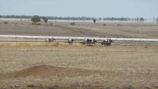 Longreach 28092024 Race 3 [upl. by Arlene]