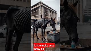 Man saved Weak black horse shorts animals weakanimals horse [upl. by Compton147]