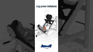 leg press horizontal [upl. by Baiel]