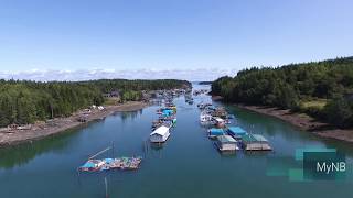 Head Harbour Campobello Island NB [upl. by Anrahs]