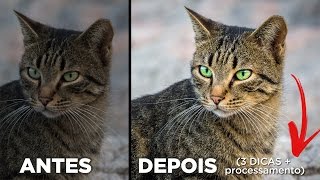 3 Dicas Poderosas Para Deixar Fotos De Retrato 5x Melhores [upl. by Leuamme]