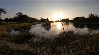 NEW fishing spot in Ft MYERS Fl bass at every spot [upl. by Aklam]