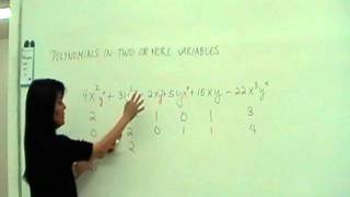 Polynomials in Two or More Variables [upl. by Alidis]