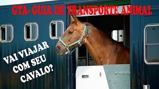 Vai viajar com seu cavalo GTA  GUIA DE TRANSITO ANIMAL [upl. by Allwein]