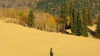 Carcross quotDesertquot Yukon [upl. by Aicena626]